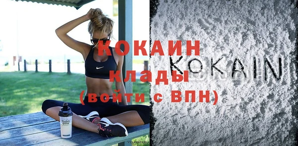 твердый Абаза